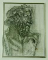 Anielle Collection - Laocoon - Pencil On Paper